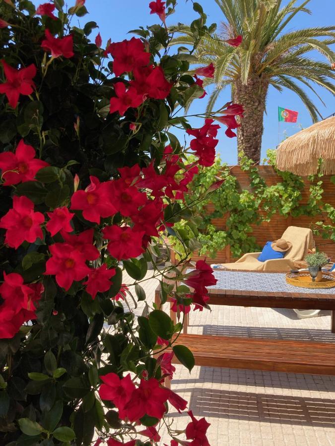 Bico Das Flores Praia de Mira Exteriör bild
